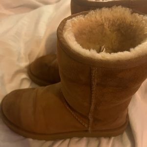 Womens Uggs Short